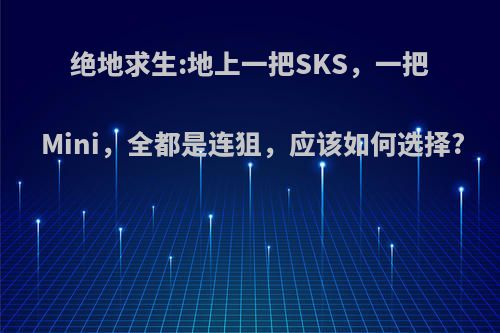 绝地求生:地上一把SKS，一把Mini，全都是连狙，应该如何选择?