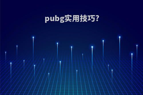 pubg实用技巧?