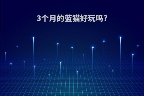 3个月的蓝猫好玩吗?