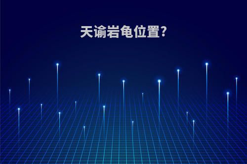天谕岩龟位置?