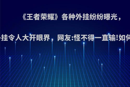 《王者荣耀》各种外挂纷纷曝光，物理外挂令人大开眼界，网友:怪不得一直输!如何评价?