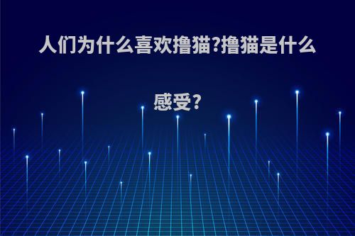 人们为什么喜欢撸猫?撸猫是什么感受?