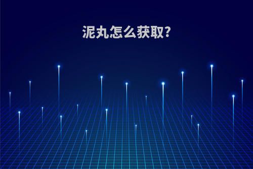 泥丸怎么获取?