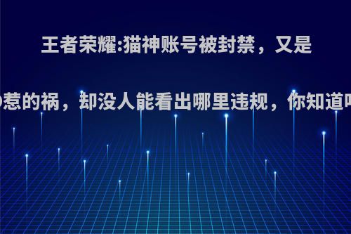 王者荣耀:猫神账号被封禁，又是ID惹的祸，却没人能看出哪里违规，你知道吗?
