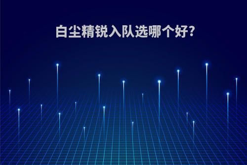 白尘精锐入队选哪个好?