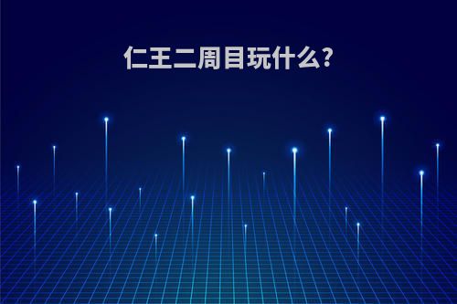 仁王二周目玩什么?