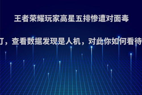王者荣耀玩家高星五排惨遭对面毒打，查看数据发现是人机，对此你如何看待?