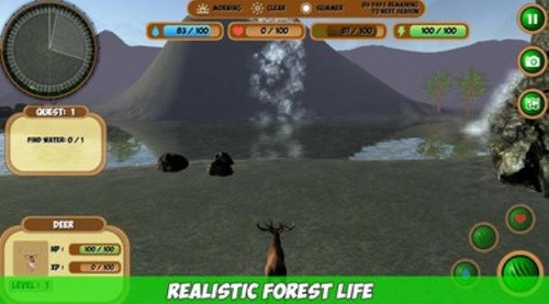 森林动物模拟器