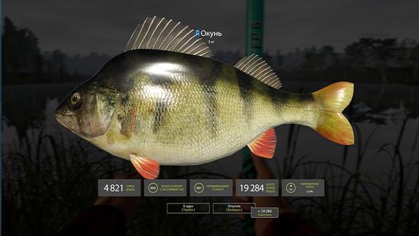 俄罗斯钓鱼4手机版