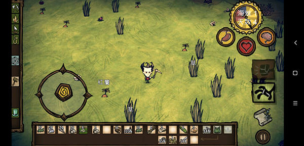 饥荒海滩地图介绍