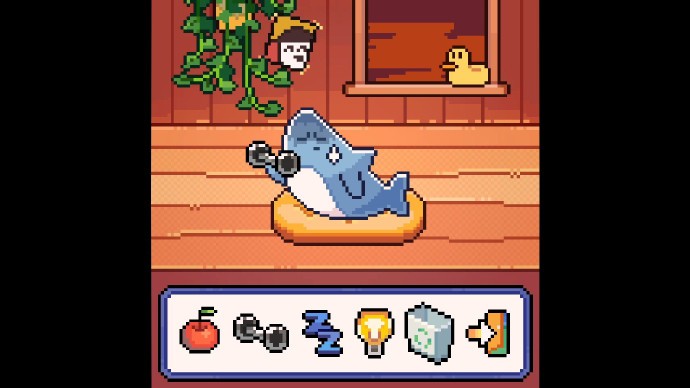 我的小鲨鱼warma